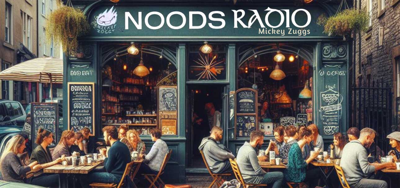 Nood Radio Bristol S21TS